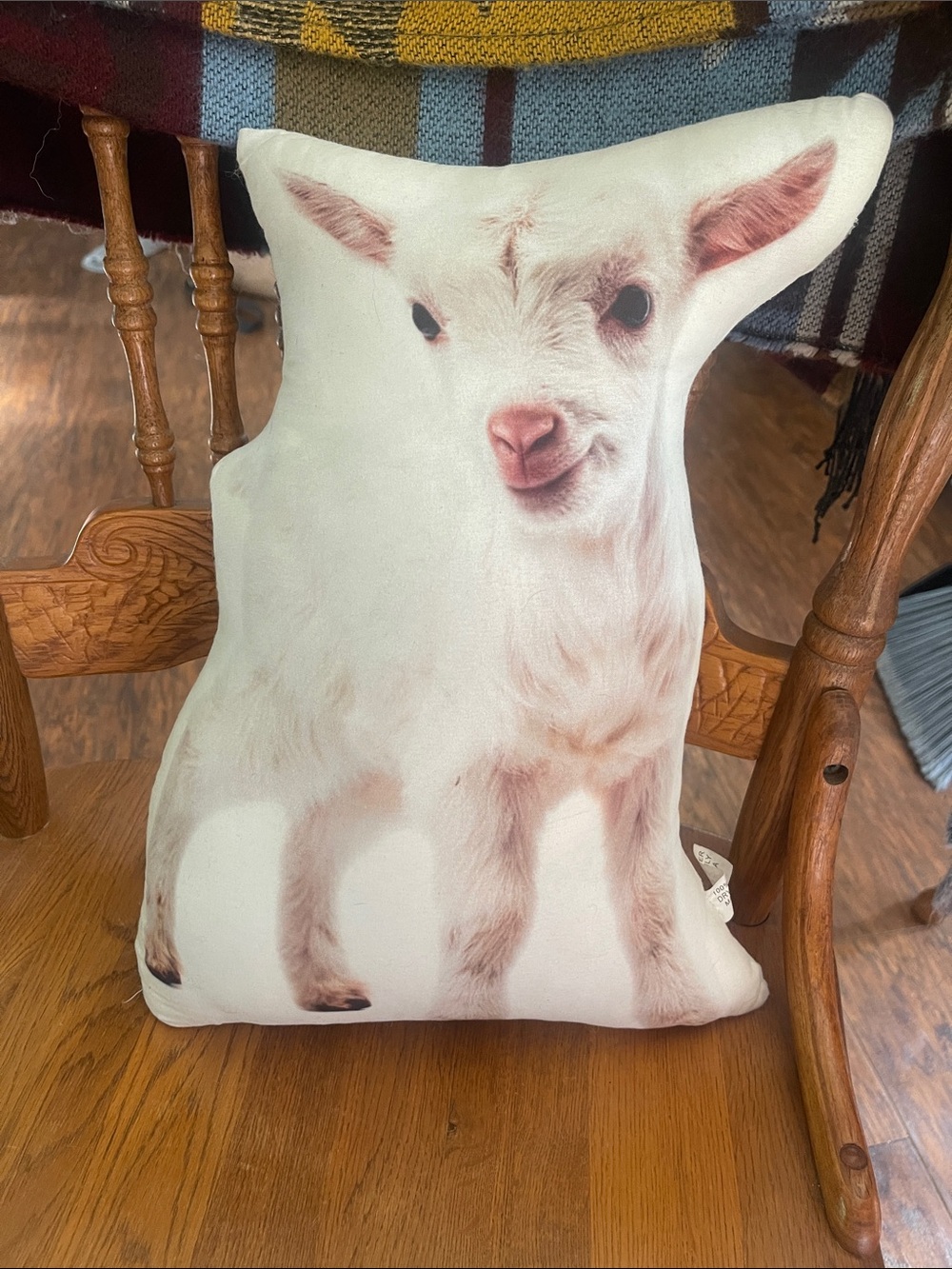 Goat pillow